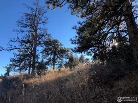 1111 Eiger Rd, Livermore, CO 80536 photo 9