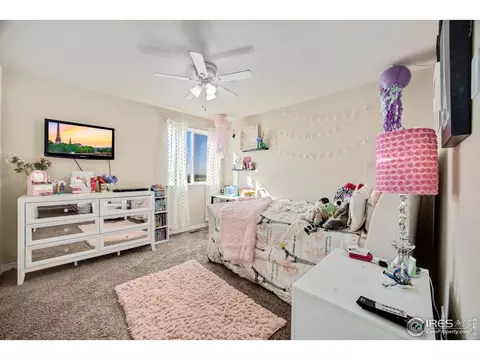 5758 Carmon Dr, Windsor, CO 80550 photo 23