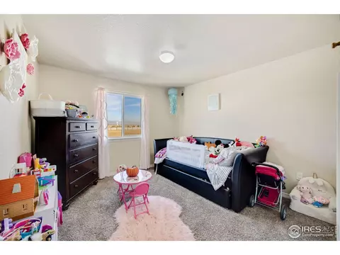 5758 Carmon Dr, Windsor, CO 80550 photo 25
