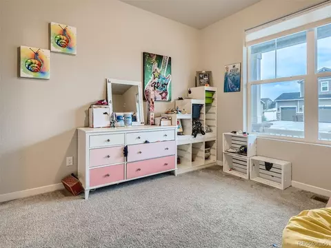 1137 Ibex Dr, Severance, CO 80550 photo 9