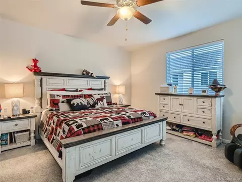 1137 Ibex Dr, Severance, CO 80550 photo 6