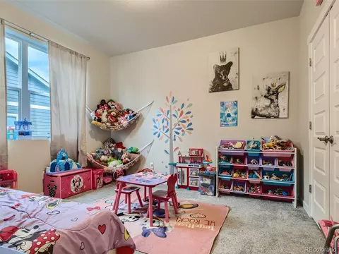 1137 Ibex Dr, Severance, CO 80550 photo 10