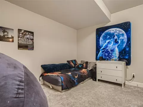 1137 Ibex Dr, Severance, CO 80550 photo 17