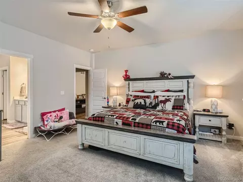 1137 Ibex Dr, Severance, CO 80550 photo 7