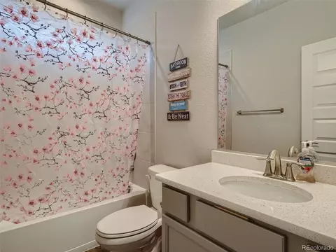 1137 Ibex Dr, Severance, CO 80550 photo 11