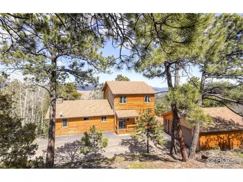 614 Eagle Trl, Bailey, CO 80421 photo 1