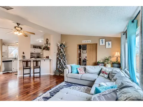 1025 Macdavidson Cir, Dacono, CO 80514 photo 4