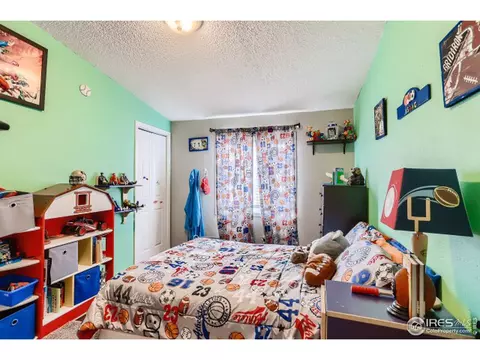 1025 Macdavidson Cir, Dacono, CO 80514 photo 19