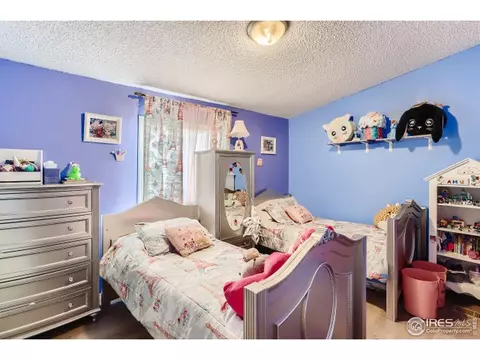 1025 Macdavidson Cir, Dacono, CO 80514 photo 18