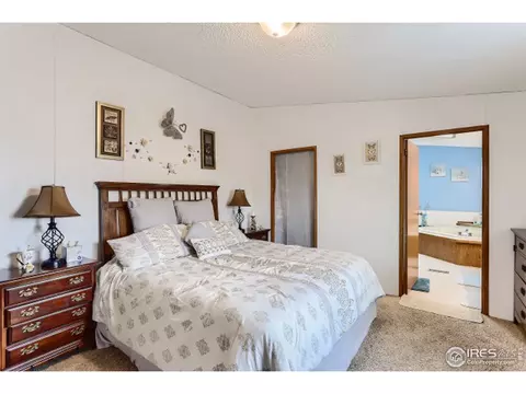 1025 Macdavidson Cir, Dacono, CO 80514 photo 13