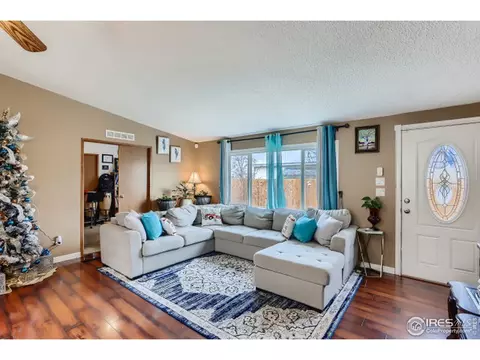 1025 Macdavidson Cir, Dacono, CO 80514 photo 2