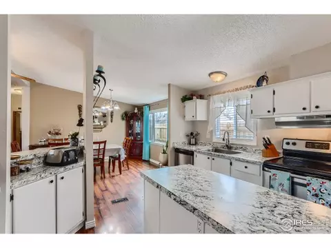1025 Macdavidson Cir, Dacono, CO 80514 photo 9