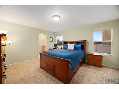 282 Pinebrook Ct, Windsor, CO 80550 photo 11