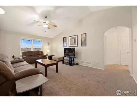 282 Pinebrook Ct, Windsor, CO 80550 photo 19