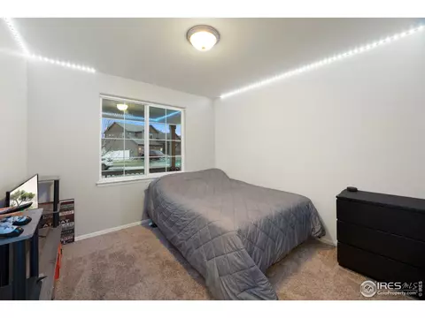282 Pinebrook Ct, Windsor, CO 80550 photo 15