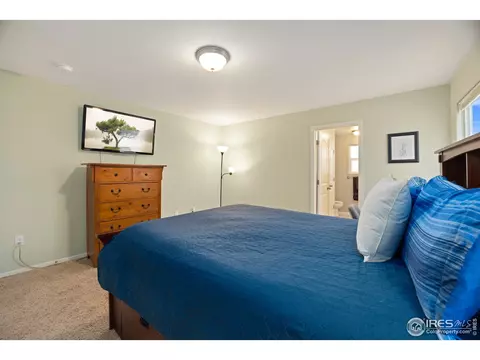 282 Pinebrook Ct, Windsor, CO 80550 photo 12