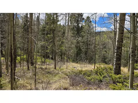 5853 Slegers Rd, Fort Garland, CO 81133