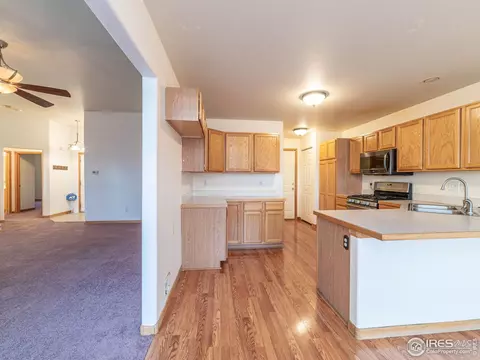 664 Mcclure Ave, Firestone, CO 80520 photo 19