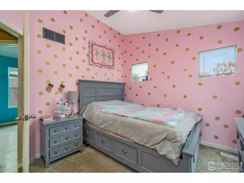 4205 Phlox Ln, Evans, CO 80620 photo 23