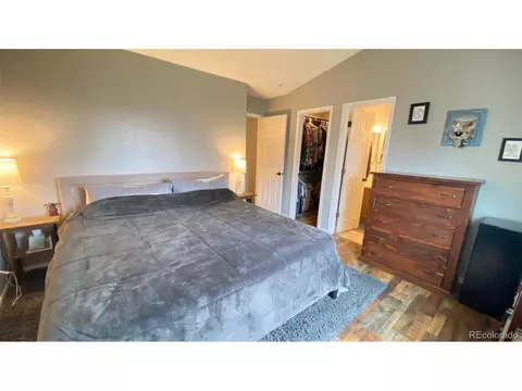 5259 E Howe St, Castle Rock, CO 80104 photo 16
