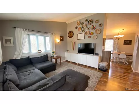 5259 E Howe St, Castle Rock, CO 80104 photo 5
