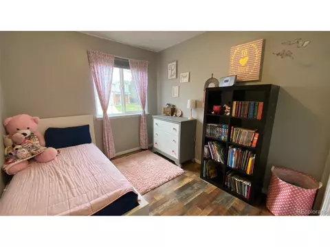 5259 E Howe St, Castle Rock, CO 80104 photo 11
