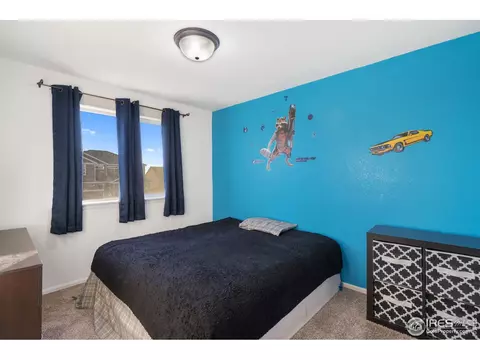 1983 Thunder Cloud Dr, Windsor, CO 80550 photo 24