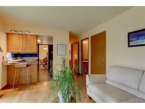 19070 E 45th Ave, Denver, CO 80249 photo 12