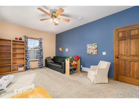 213 E Michigan Ave, Berthoud, CO 80513 photo 18