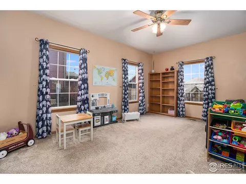 213 E Michigan Ave, Berthoud, CO 80513 photo 21