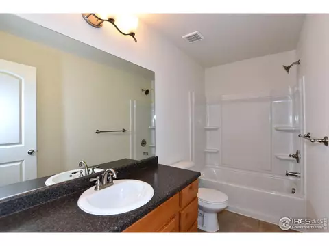 2040 Blue Moon Dr, Windsor, CO 80550 photo 36
