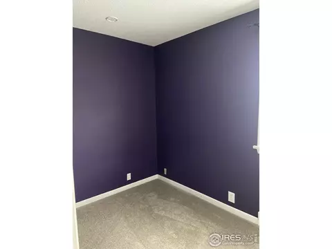 2 Locust St, Windsor, CO 80550 photo 10
