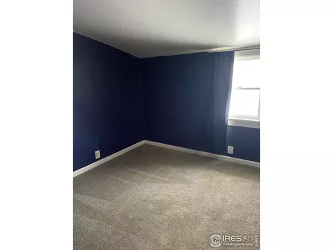 2 Locust St, Windsor, CO 80550 photo 9
