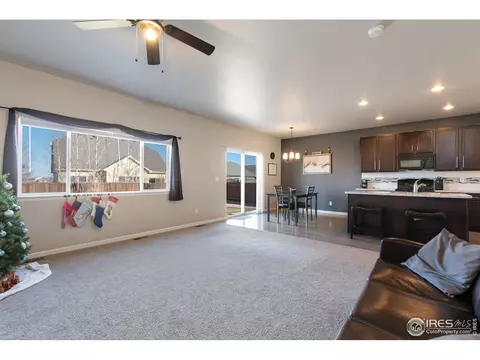 982 Traildust Dr, Milliken, CO 80543 photo 9