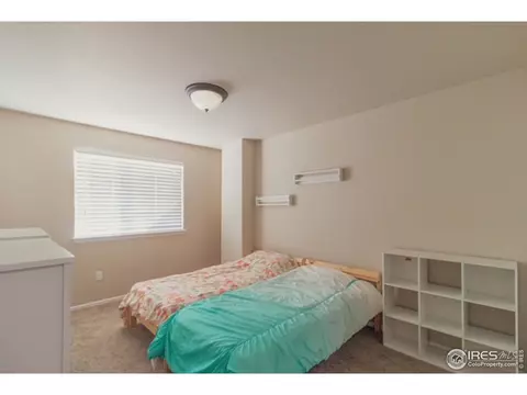 2058 Grain Bin Dr, Windsor, CO 80550 photo 16