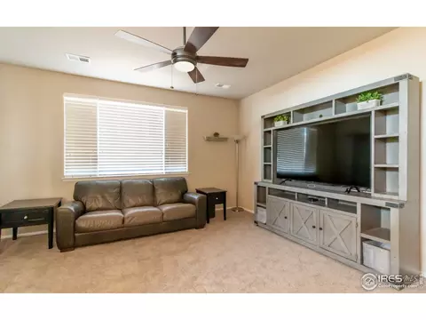 2058 Grain Bin Dr, Windsor, CO 80550 photo 9