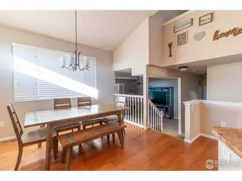 2058 Grain Bin Dr, Windsor, CO 80550 photo 8