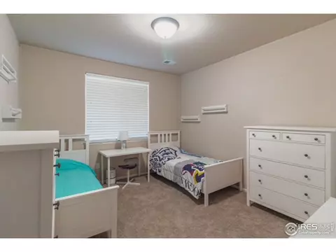 2058 Grain Bin Dr, Windsor, CO 80550 photo 18