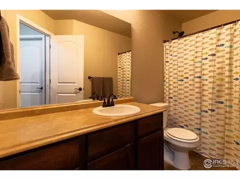 2058 Grain Bin Dr, Windsor, CO 80550 photo 17