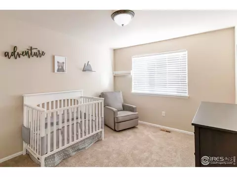 2058 Grain Bin Dr, Windsor, CO 80550 photo 15