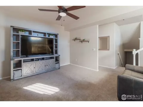 2058 Grain Bin Dr, Windsor, CO 80550 photo 10