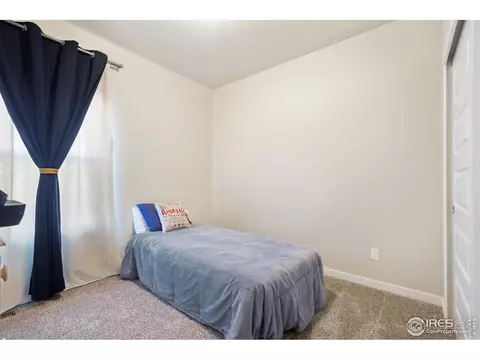 903 Barn Yard Dr, Windsor, CO 80550 photo 22