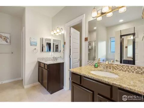 903 Barn Yard Dr, Windsor, CO 80550 photo 19