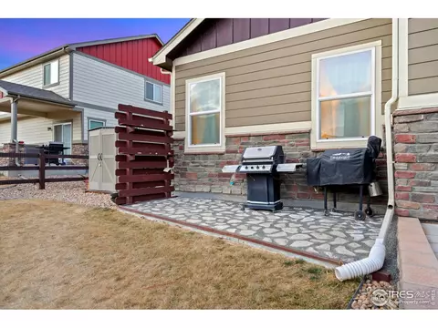 903 Barn Yard Dr, Windsor, CO 80550 photo 35