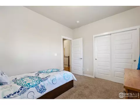 903 Barn Yard Dr, Windsor, CO 80550 photo 20