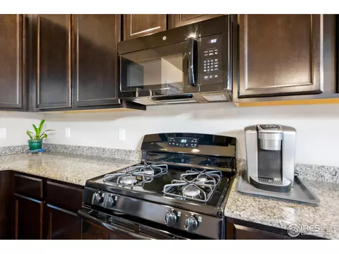 903 Barn Yard Dr, Windsor, CO 80550 photo 12