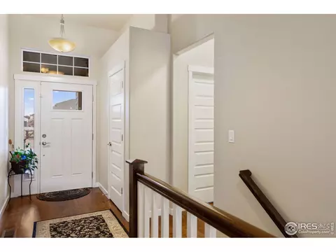 903 Barn Yard Dr, Windsor, CO 80550 photo 5