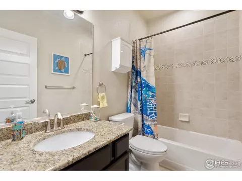 903 Barn Yard Dr, Windsor, CO 80550 photo 23