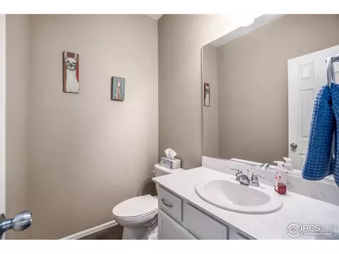 6056 Moran Rd, Timnath, CO 80547 photo 11