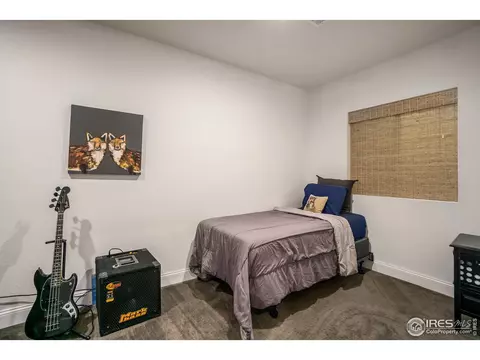 6056 Moran Rd, Timnath, CO 80547 photo 12